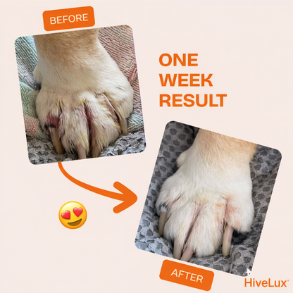 HiveLux™ -  Postbiotic Spray