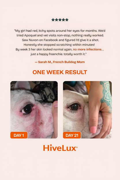 HiveLux™ -  Postbiotic Spray