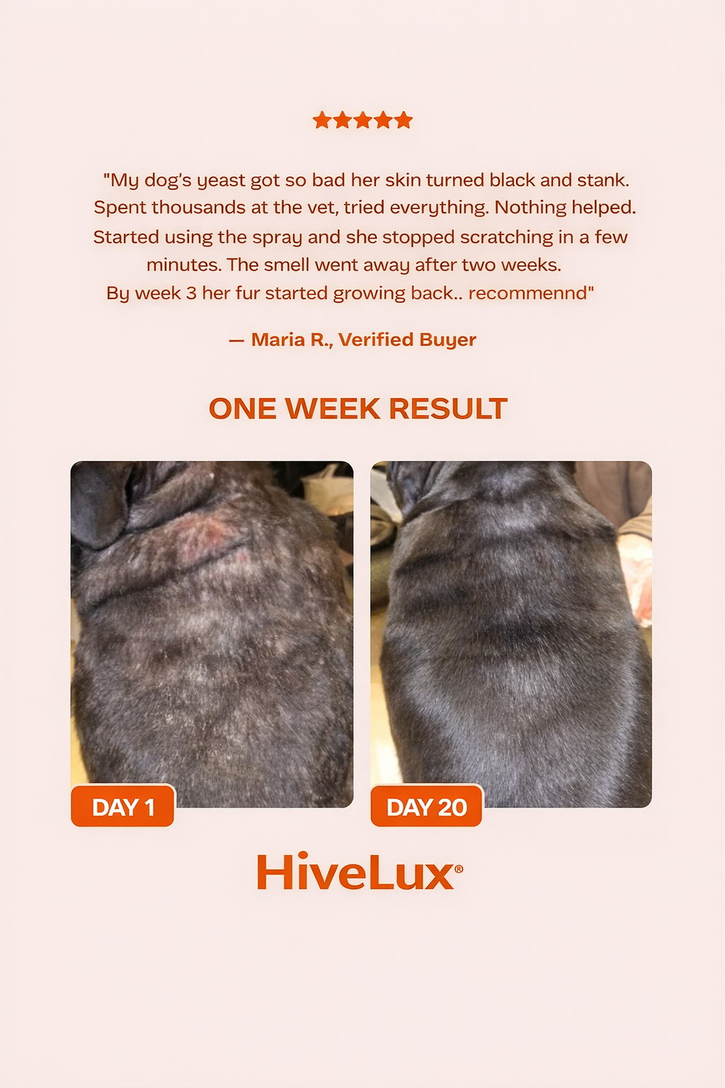 HiveLux™ -  Postbiotic Spray