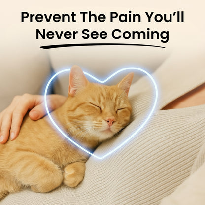 Stop the Silent Deficiency Before You See the Signs with Hivelux™ Taurine Supplement